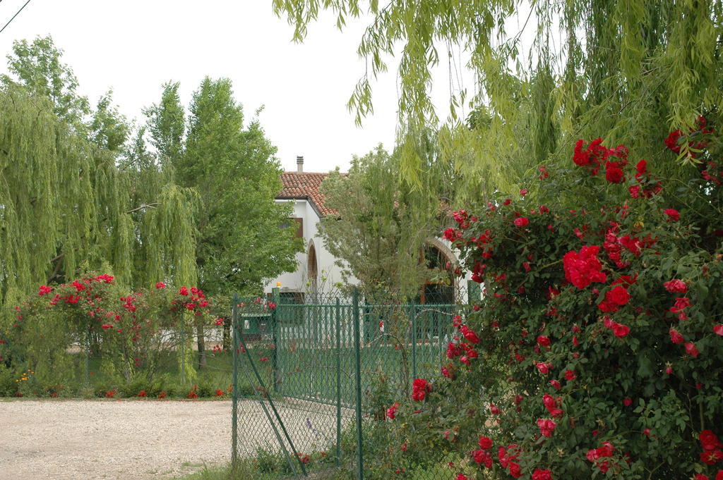 Rose Rosse Bed and Breakfast Cadi David Εξωτερικό φωτογραφία